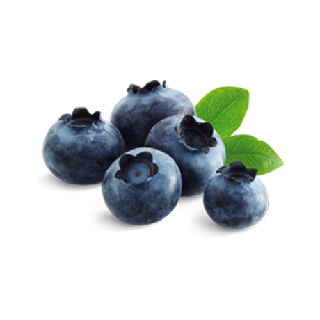 blueberries and cream revised1