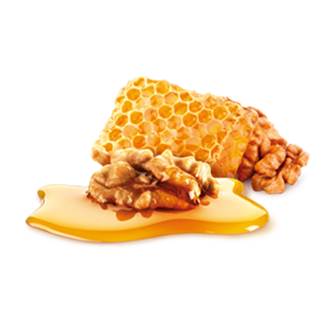 honey walnut and cream ing revised1